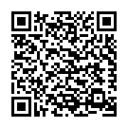 Scan Google merchant center Image QR code