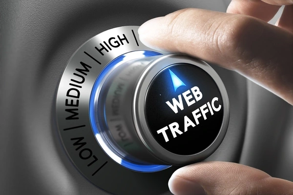 Delft in bedrijf: Website traffic