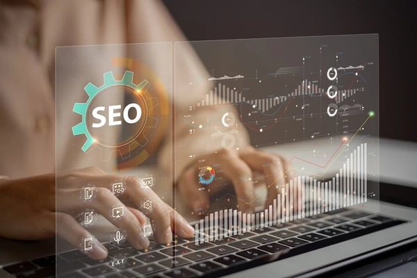 Alles over seo ranking in zuid-holland