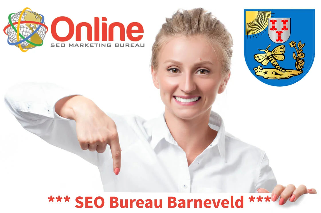 SEO consultant Barneveld