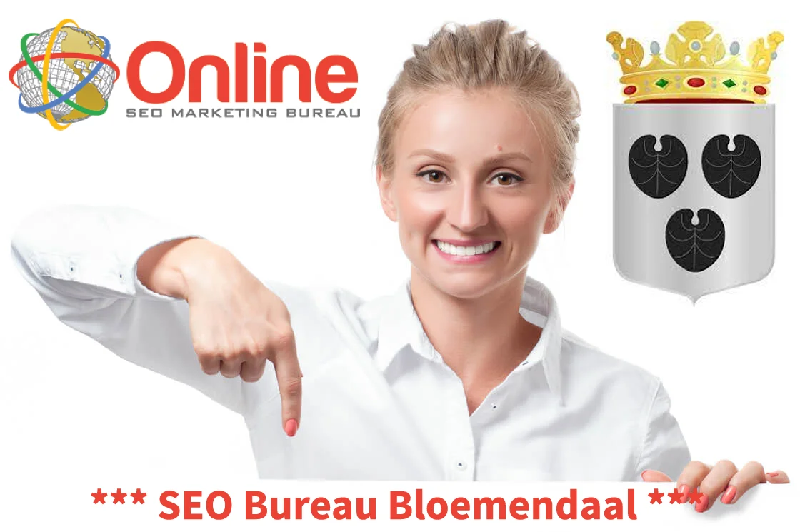 SEO advies Bloemendaal