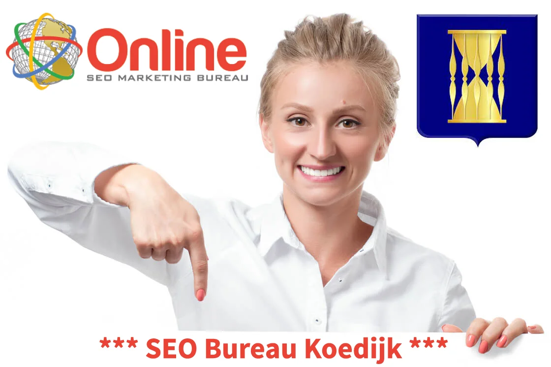 SEO consultant Koedijk