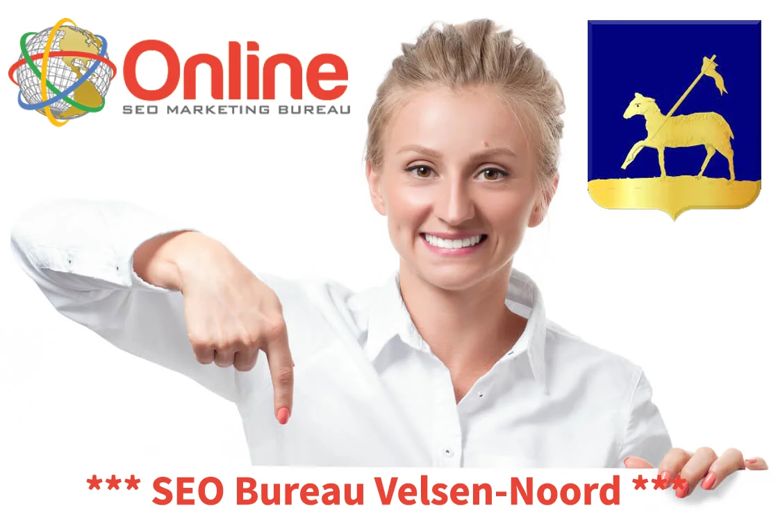 SEO consultant Velsen-Noord