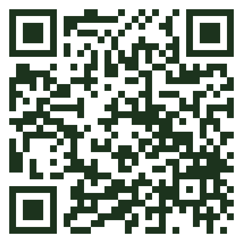Scan Hengelo Image QR Code