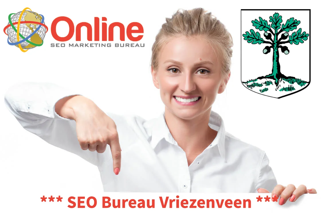 SEO consultant Vriezenveen