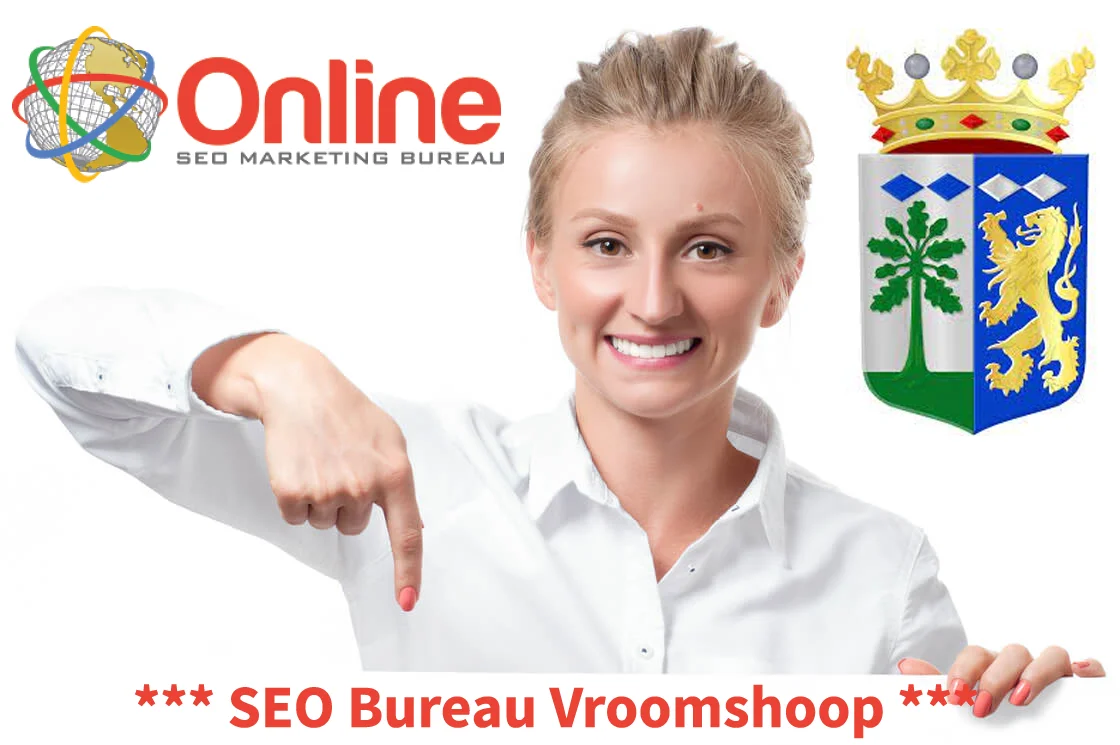 Internetbureau Vroomshoop