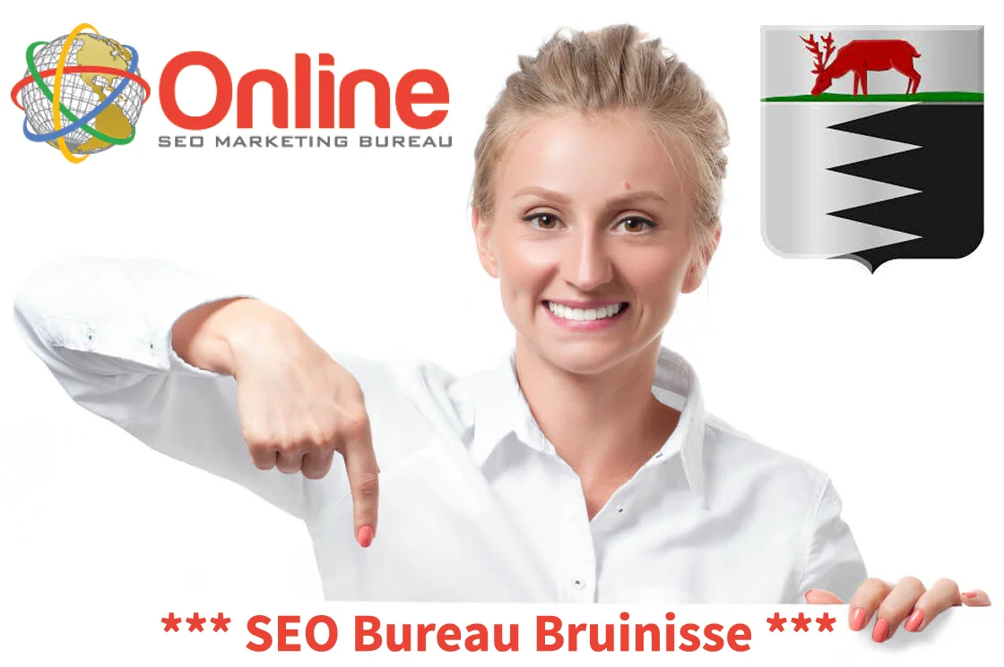 Internetbureau Bruinisse