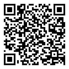 Scan Bleskensgraaf Image QR Code