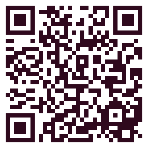 Scan Leiden Image QR Code