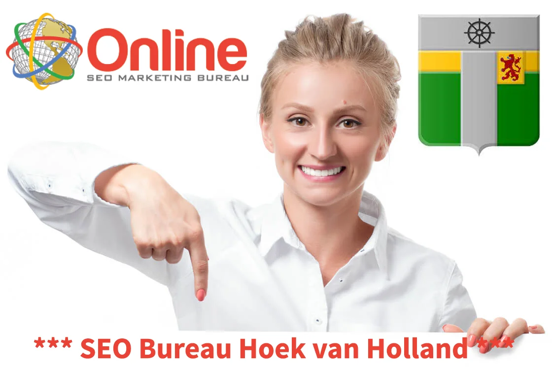 Hoek van Holland SEO meer bezoekers en leads