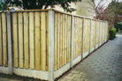Hout robuust